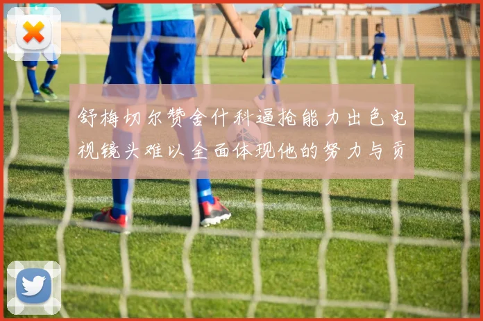 舒梅切尔赞舍什科逼抢能力出色电视镜头难以全面体现他的努力与贡献